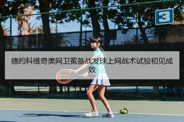de-yue-ke-wei-qi-mei-wang-wei-mian-bei-zhan-fa-qiu-shang-wang-zhan-shu-shi-yan-chu-jian-cheng-xiao-2-263.jpg